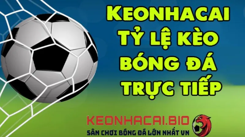 Cách thức hoạt động của Keonhacai