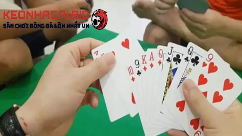 Hướng dẫn cach choi bai cau online chi tiết từ A đến Z đảm bảo biết chơi 100%