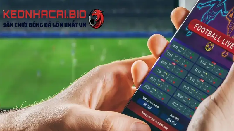 Hướng dẫn xem kèo bóng đá chuẩn 100% người mới không nên bỏ qua