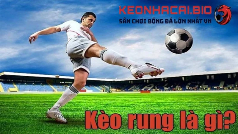 Kèo Rung Là Gì