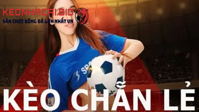 Kèo chẵn lẻ là gì? Cách bắt kèo chẵn lẻ thắng 99% trong cá cược bóng đá