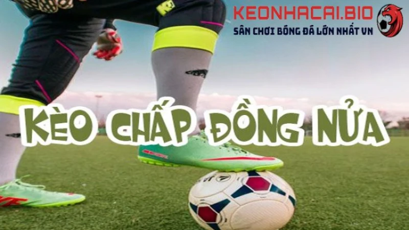 Kèo đồng nửa là gì