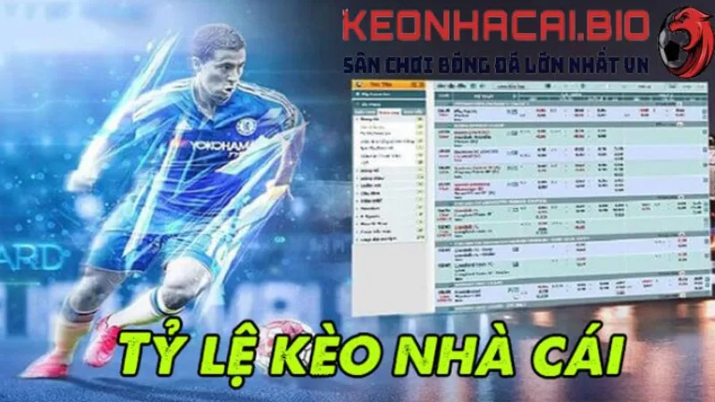 Tỷ lệ kèo nhà cái là gì?